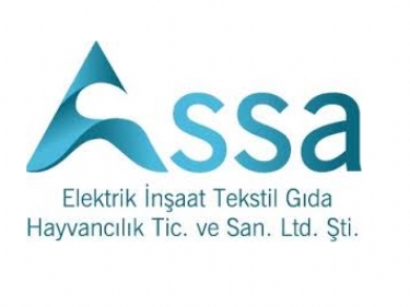 Assa Elektrik