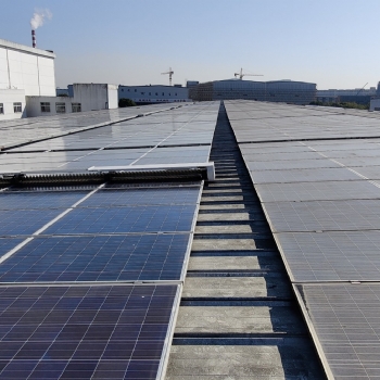 SS-TR Tracking Land Robot